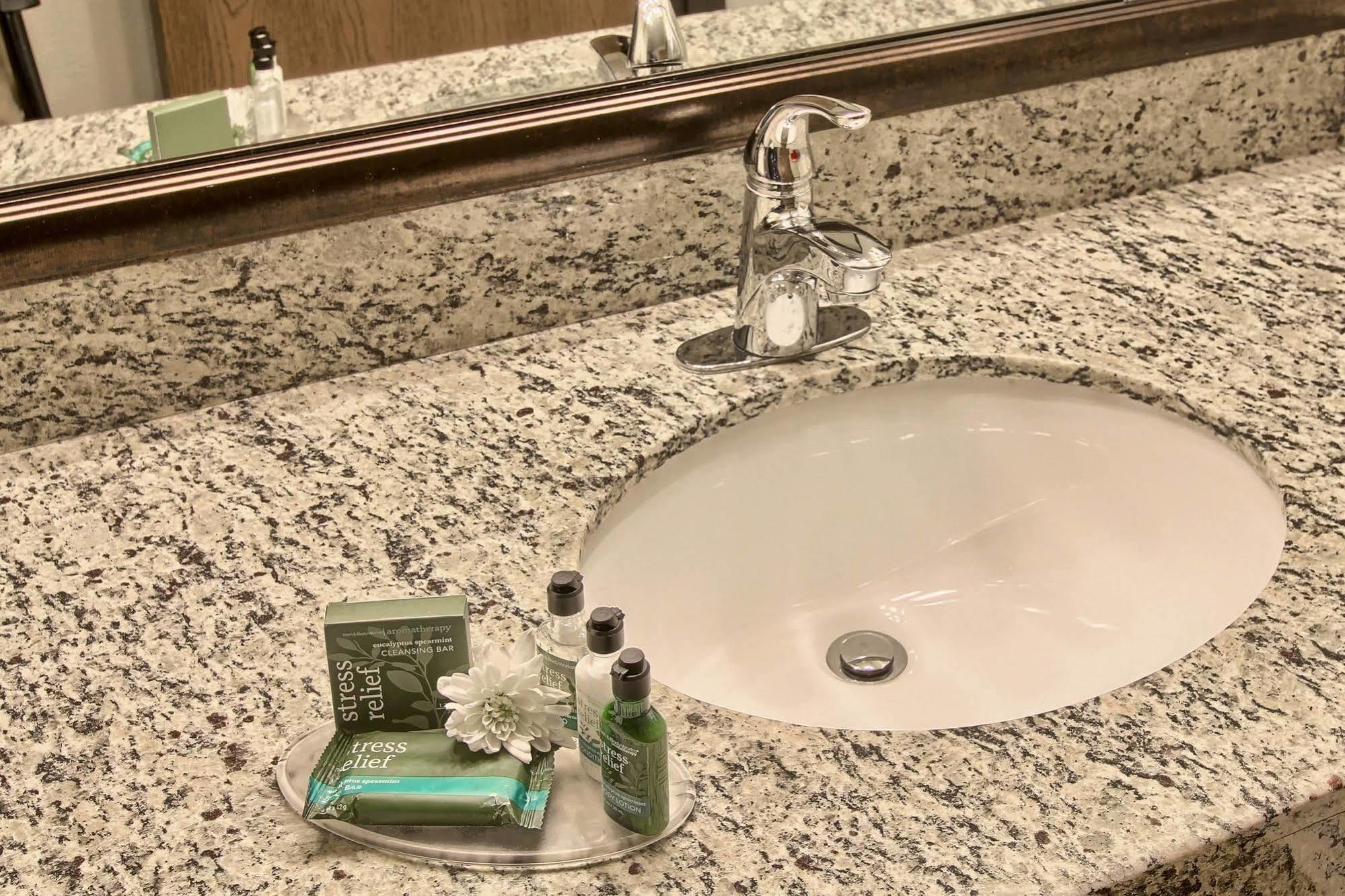 Blossom Hotel & Suites Traverse City Extérieur photo